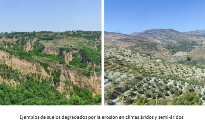 El IAS se une a la celebración del Día Internacional de la Conservación del Suelo – Laboratorio de Erosión del Suelos IAS-CSIC