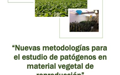 Jornada «Nuevas metodologías para el estudio de patógenos en material vegetal de reproducción»