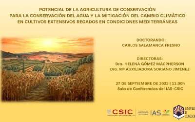 Defensa Tesis Doctoral – Carlos Salamanca Fresno