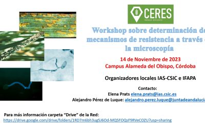 Workshop sobre determinación de mecanismos de resistencia a través de la microscopía
