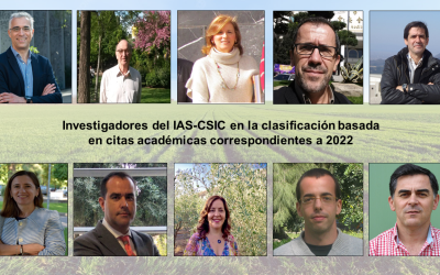 Trece investigadores del IAS entre los más citados a nivel global en 2022 – Ranking de Stanford