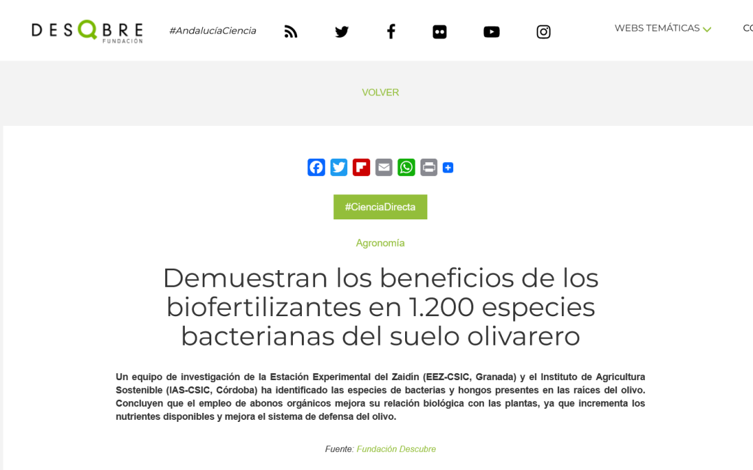 Demuestran los beneficios de los biofertilizantes en 1.200 especies bacterianas del suelo olivarero
