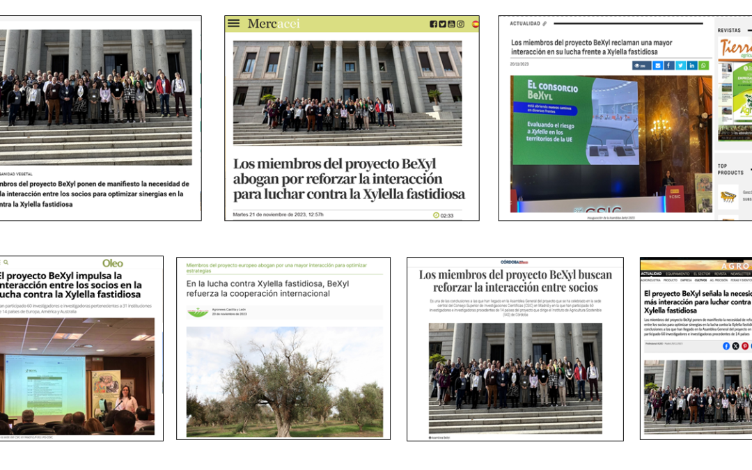 Seguimiento de la noticia: Los miembros del proyecto BeXyl ponen de manifiesto la necesidad de reforzar la interacción entre los socios para optimizar sinergias en la lucha contra la Xylella fastidiosa