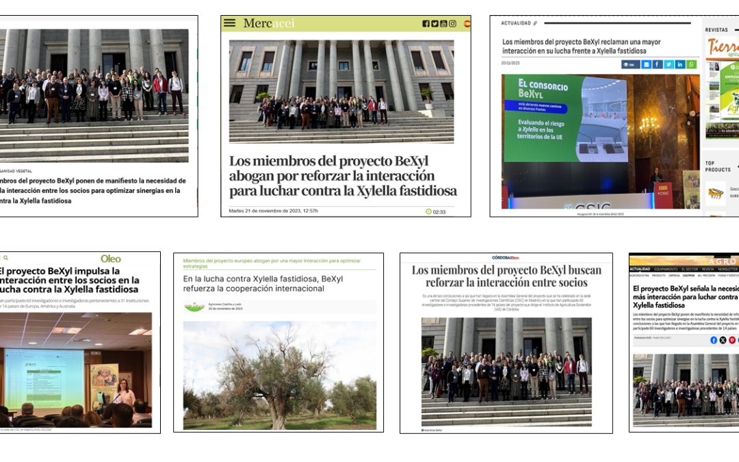 Seguimiento de la noticia:  Los miembros del proyecto BeXyl ponen de manifiesto la necesidad de reforzar la interacción entre los socios para optimizar sinergias en la lucha contra la Xylella fastidiosa