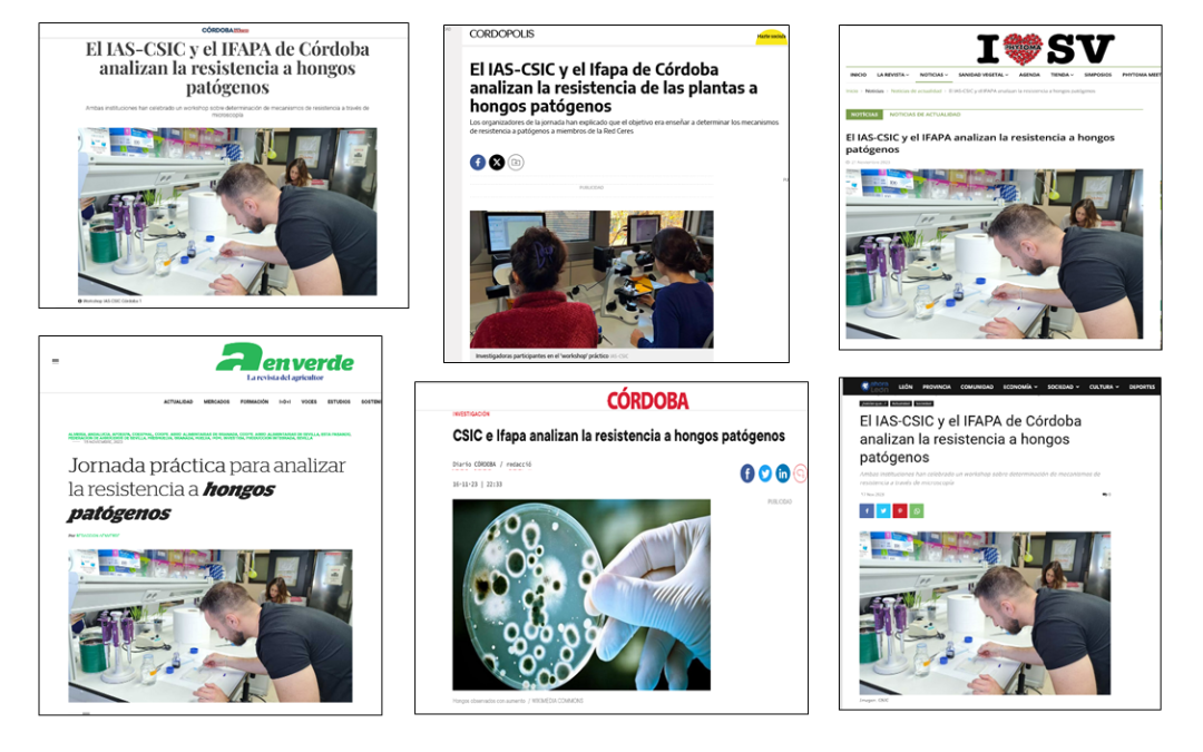 Seguimiento de la noticia: El IAS-CSIC y el IFAPA de Córdoba analizan la resistencia a hongos patógenos