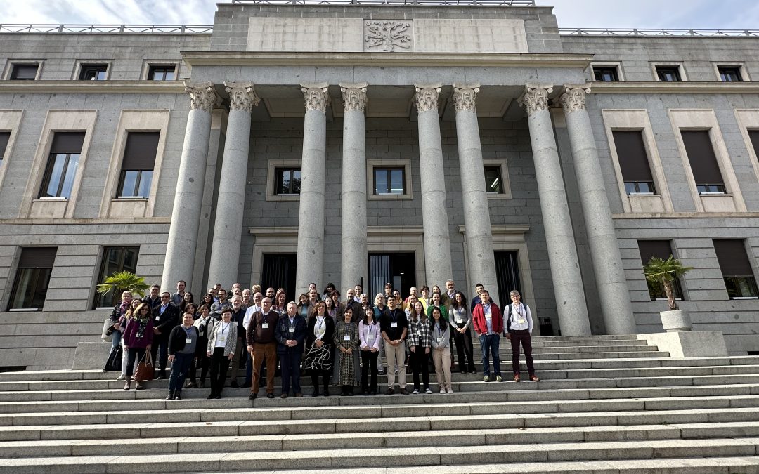 Los miembros del proyecto BeXyl ponen de manifiesto la necesidad de reforzar la interacción entre los socios para optimizar sinergias en la lucha contra la Xylella fastidiosa