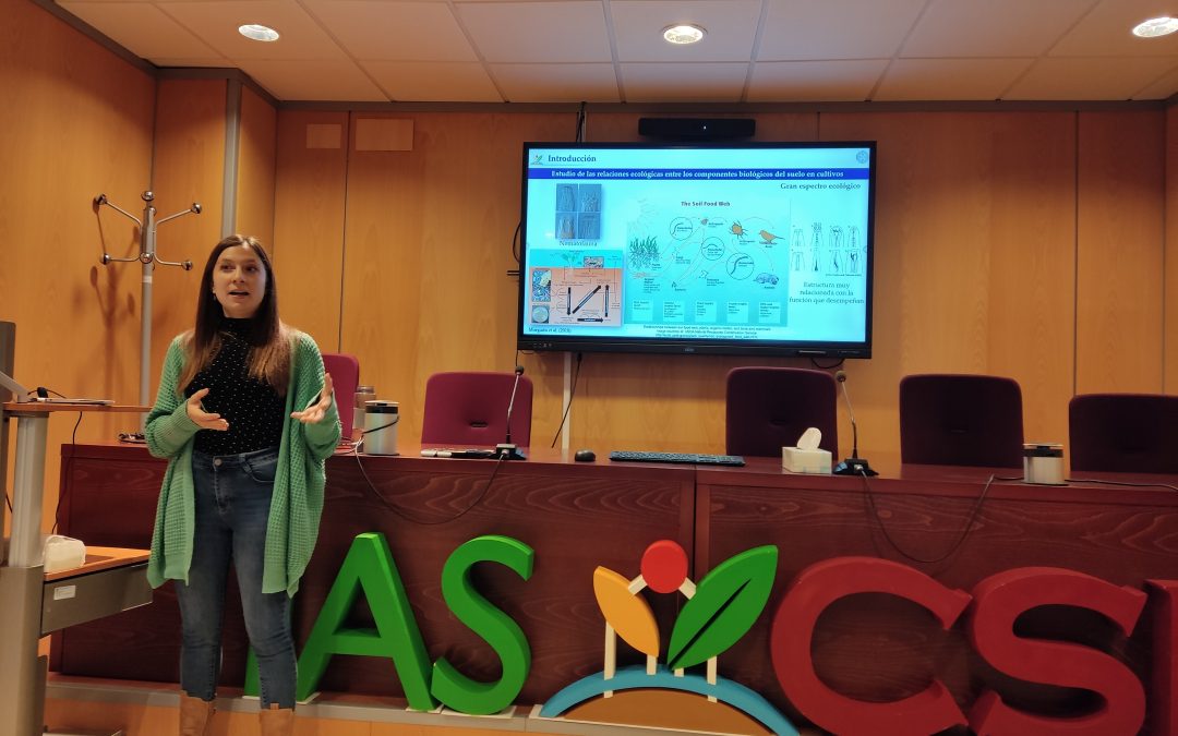 Evolución de la nematofauna y microbiota con diferentes manejos de cultivo- Alba Nazaret Ruiz
