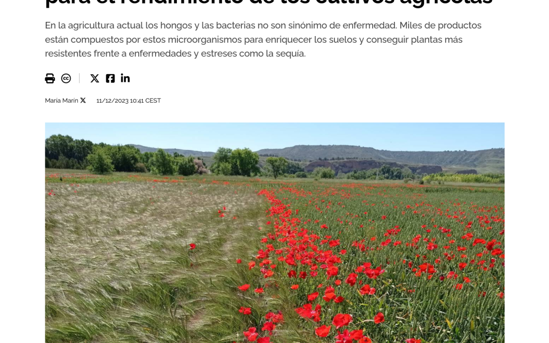 Hongos y bacterias, microorganismos clave para el rendimiento de los cultivos agrícolas