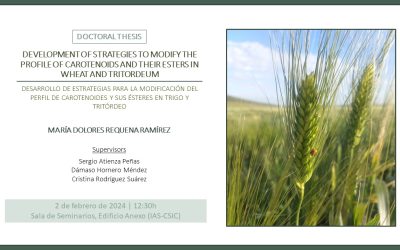 Defensa Tesis Doctoral – María Dolores Requena Ramírez