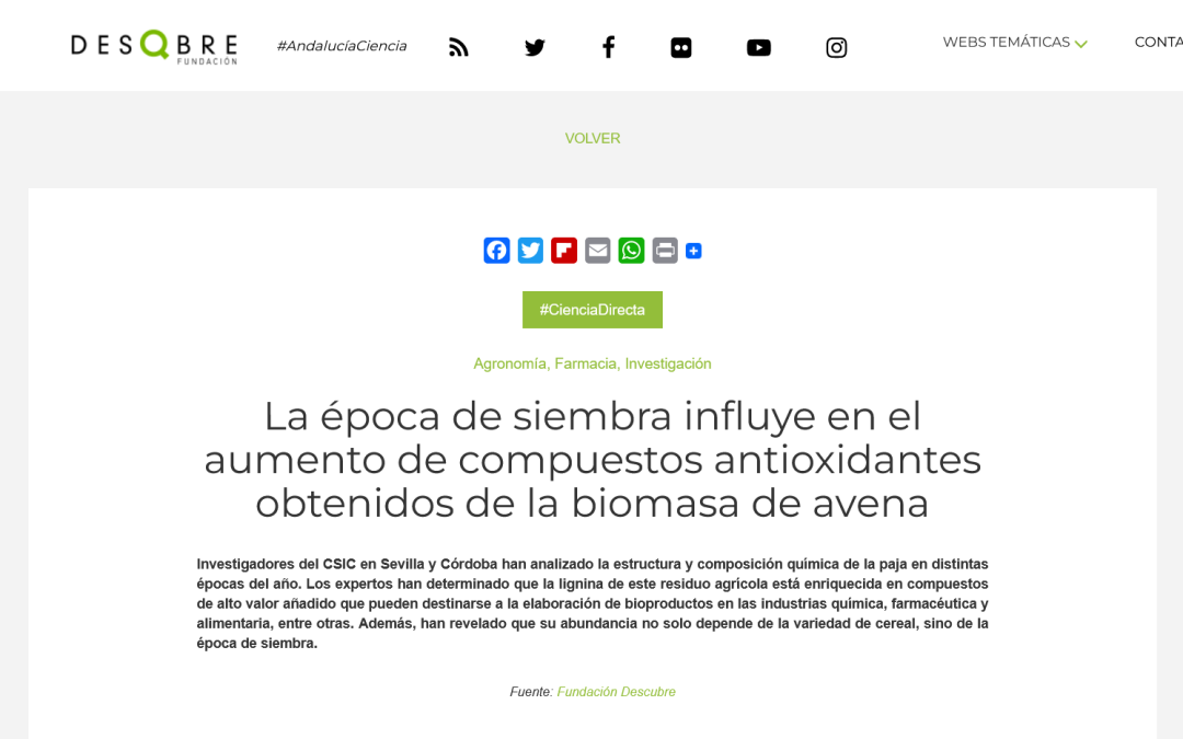 La época de siembra influye en el aumento de compuestos antioxidantes obtenidos de la biomasa de avena