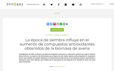 La época de siembra influye en el aumento de compuestos antioxidantes obtenidos de la biomasa de avena