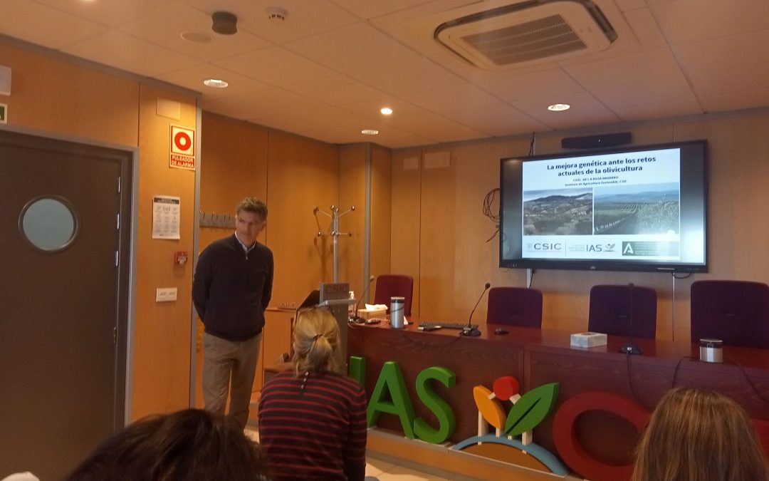 La mejora genética ante los retos actuales de la olivicultura – Raúl de la Rosa Navarro