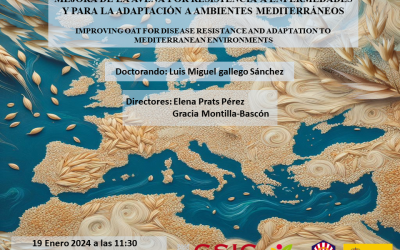Defensa Tesis Doctoral – Luis Miguel Gallego Sánchez