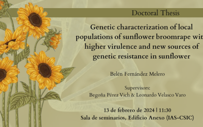 Defensa Tesis Doctoral – Belén Fernández Melero