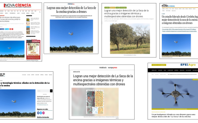 Seguimiento de la noticia: Logran una mejor detección de La Seca de la encina gracias a imágenes térmicas y multiespectrales obtenidas con drones