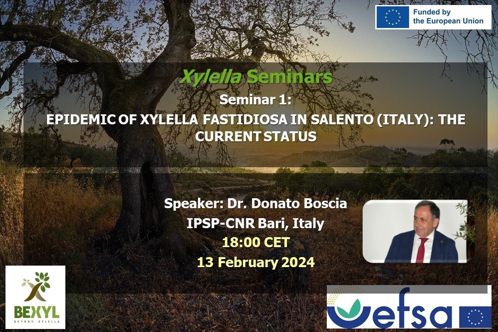 1st Xylella Seminar Series 2024 – Epidemics of Xylella fastidiosa in Salento (Italy): the current status