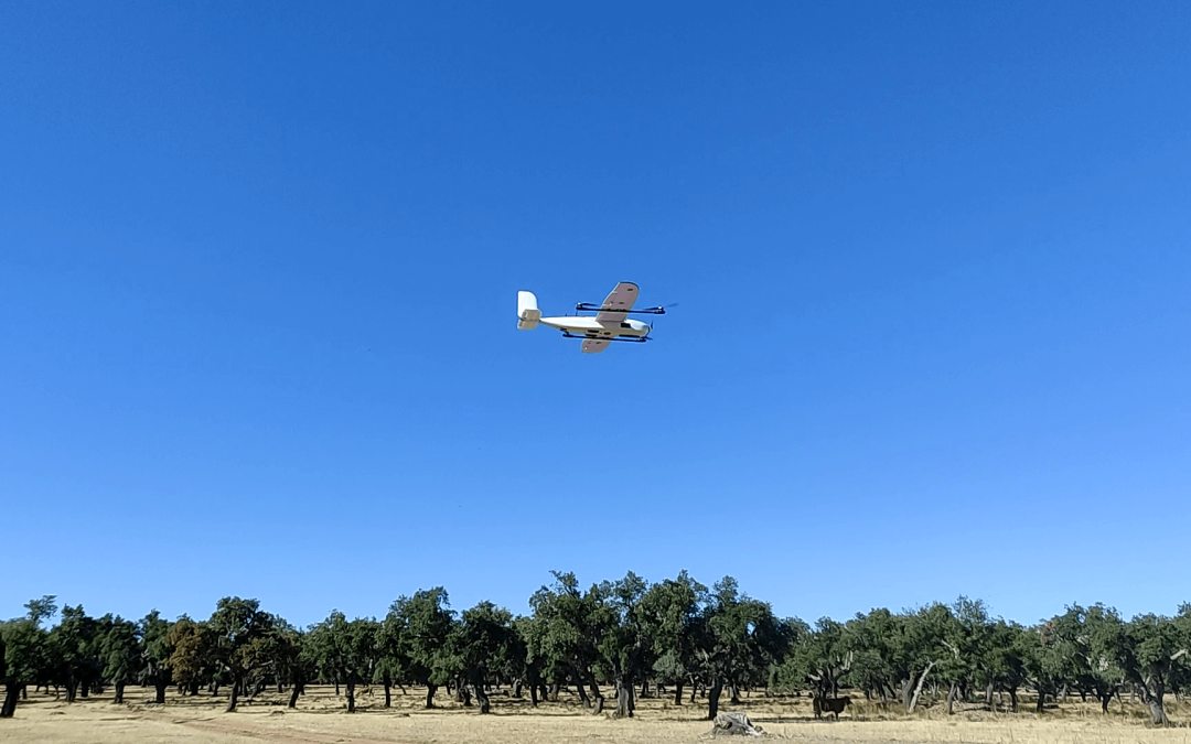 Logran una mejor detección de La Seca de la encina gracias a imágenes térmicas y multiespectrales obtenidas con drones