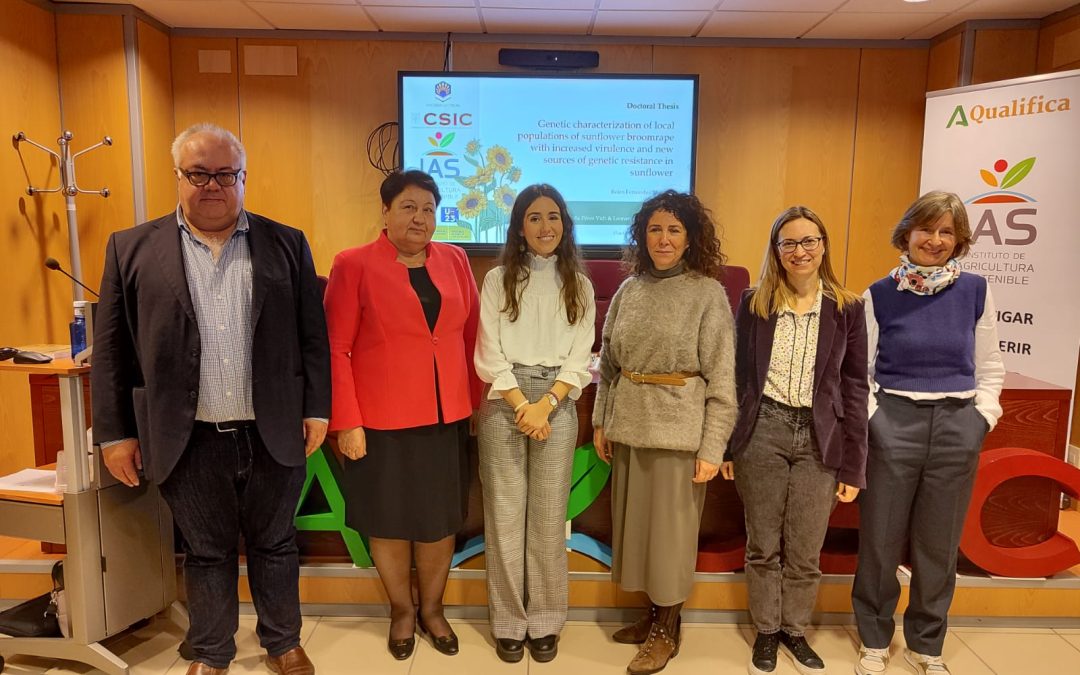 Tesis Doctoral – Belén Fernández Melero