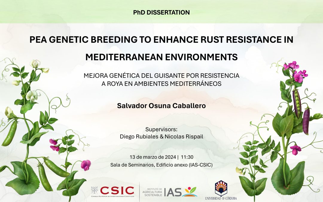 Defensa Tesis Doctoral – Salvador Osuna Caballero