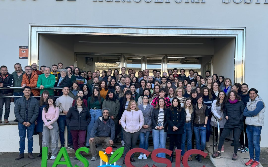 El Instituto de Agricultura Sostenible, líder en la coordinación de iniciativas multidisciplinares en ciencias agrarias dentro del CSIC