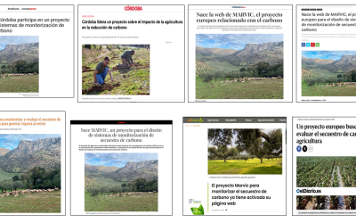 Seguimiento de la noticia: Nace la web de MARVIC, el proyecto europeo para el diseño de sistemas de monitorización de secuestro de carbono