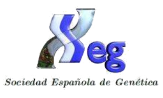 Proyecto nuevo xeg