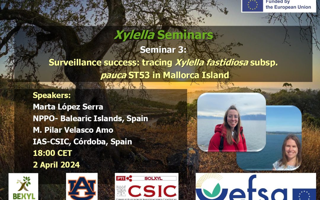 3rd Xylella Seminar 2024 – Surveillance Success: tracing Xylella fastidiosa subsp. pauca ST53 in Mallorca Island