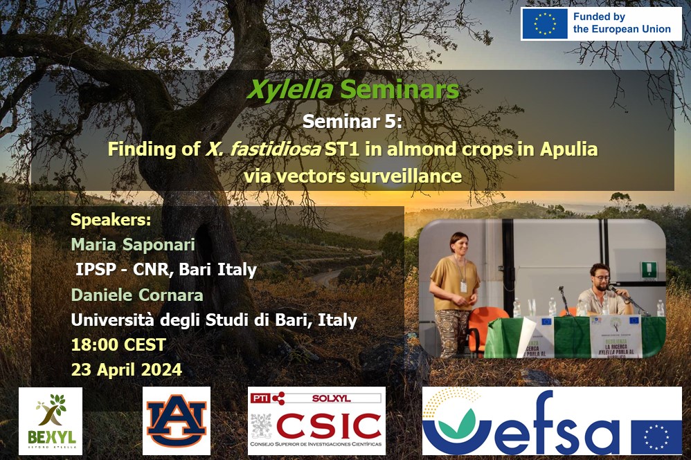 5th Xylella Seminar 2024 – Finding of X. fastidiosa ST1 in almond crops in Apulia via vectors surveillance