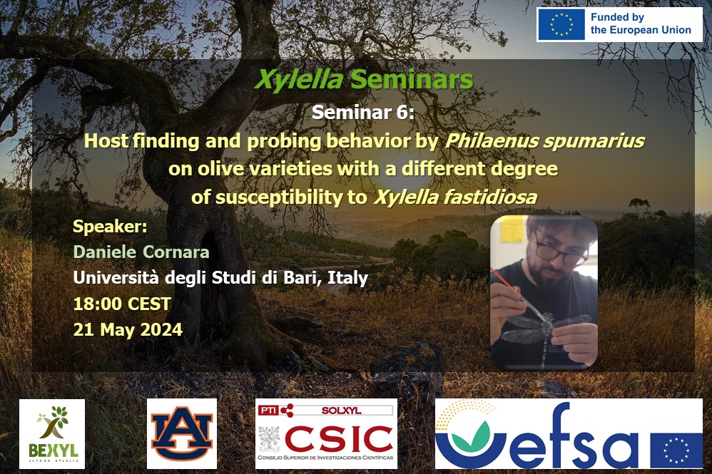 6th Xylella Seminar 2024 – Host finding and probing behavior by Philaenus spumarius on olive varieties with a different degree of susceptibility to Xylella fastidiosa