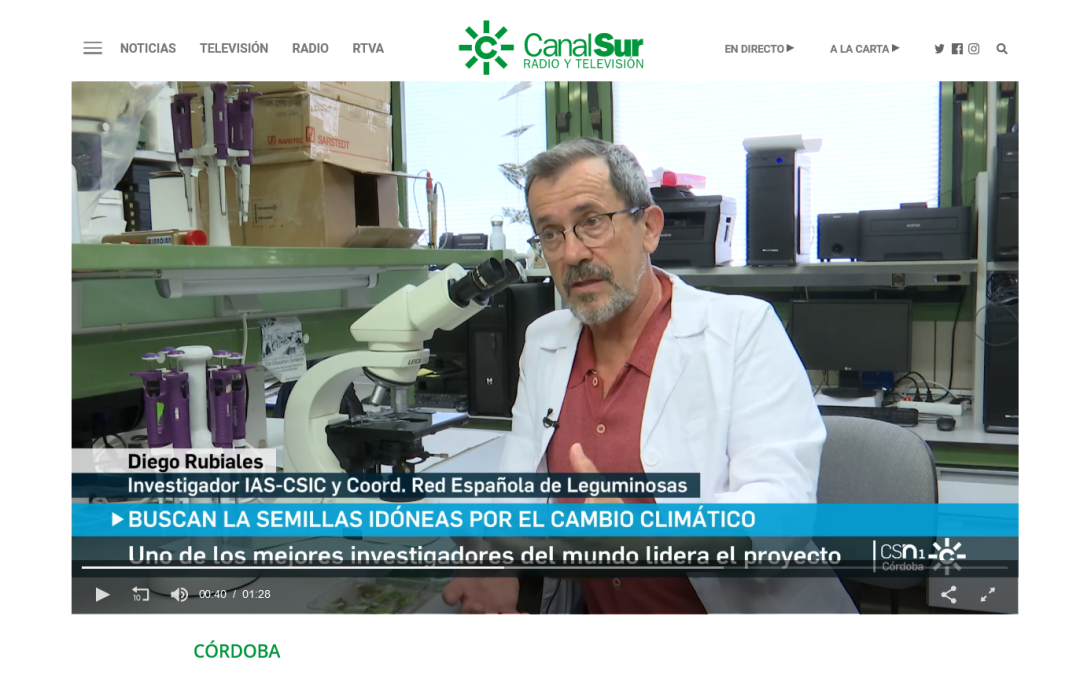 Buscan las mejores semillas de leguminosas, adaptadas al cambio climático – Diego Rubiales