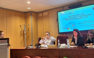 Tesis Doctoral – Francisco Jesús Agudo Jurado