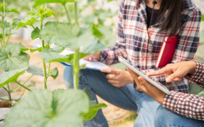 El IAS-CSIC destina un millón de euros a mejorar la resiliencia y la sostenibilidad de la agricultura mediterránea