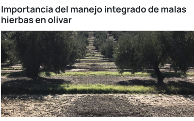 Importancia del manejo integrado de malas hierbas en olivar – V. Pedraza, J. L. González-Andújar