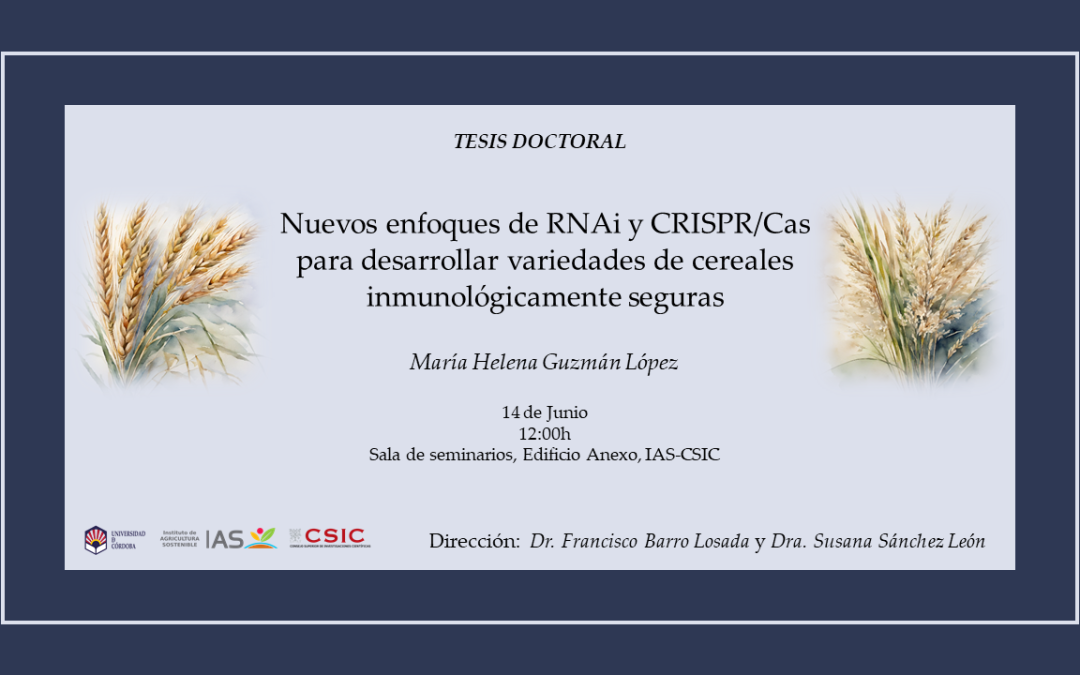 Defensa Tesis Doctoral – María Helena Guzmán López
