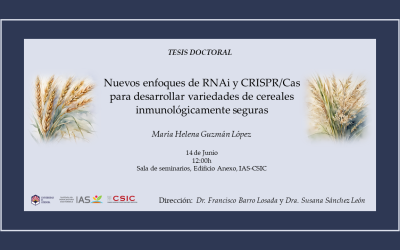 Defensa Tesis Doctoral – María Helena Guzmán López