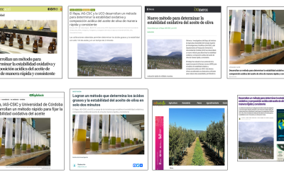 Seguimiento de la noticia: Desarrollan un método para determinar la estabilidad oxidativa y composición acídica del aceite de oliva de manera rápida y consistente