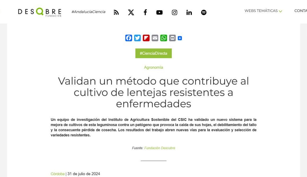 Validan un método que contribuye al cultivo de lentejas resistentes a enfermedades