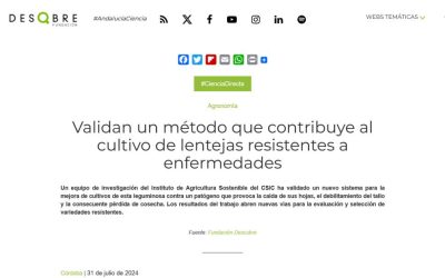 Validan un método que contribuye al cultivo de lentejas resistentes a enfermedades