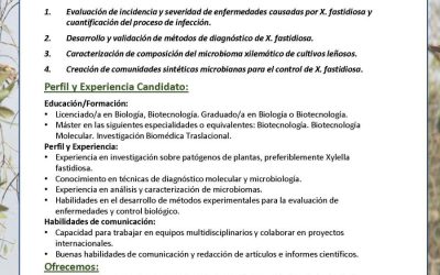 Oferta de Contrato en el Instituto de Agricultura Sostenible