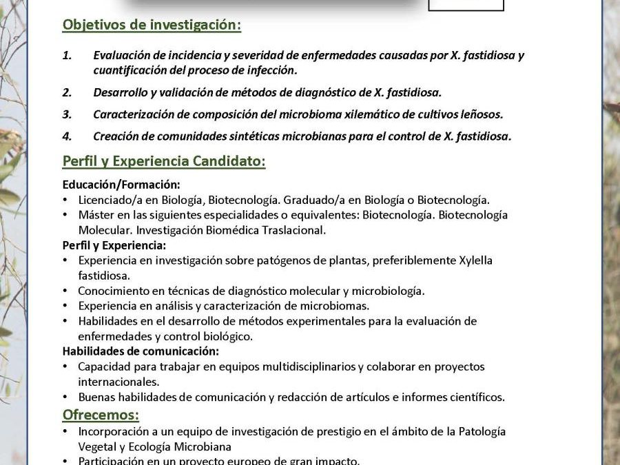 Oferta de Contrato en el Instituto de Agricultura Sostenible
