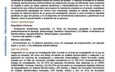 Oferta Posición Predoctoral Programa MOMENTUM CSIC en el IAS-CSIC