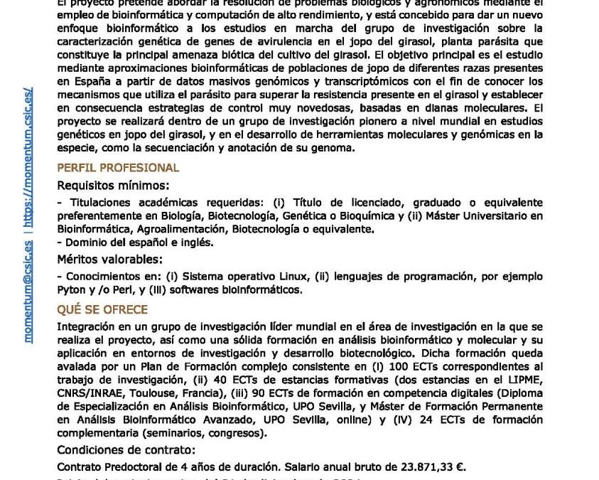 Oferta Posición Predoctoral Programa MOMENTUM CSIC en el IAS-CSIC
