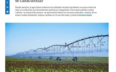 ¿Qué es la agricultura extensiva y por qué se caracteriza? – Francisco Villalobos