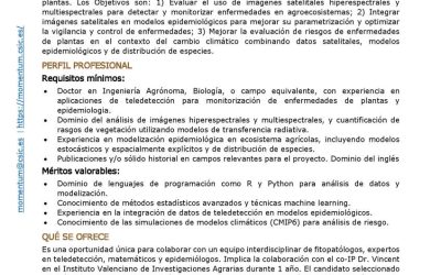 Oferta Posición Postdoctoral Programa MOMENTUM CSIC en el IAS-CSIC