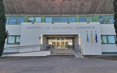 El IAS-CSIC logra más de 1,1 millones de euros para Proyectos de Generación de Conocimiento