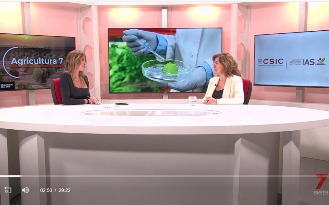 Entrevista a Leire Molinero, Directora del IAS-CSIC en Agricultura 7 – 7 TV Córdoba