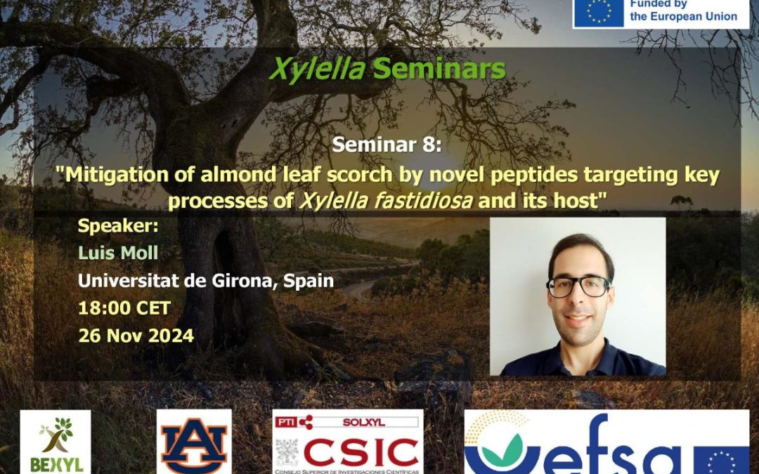 8th Xylella Seminar 2024 – Mitigation of almond leaf scorch by novel peptides targeting key processes of Xylella fastidiosa and its host