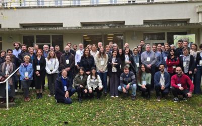 Expertos internacionales dan a conocer los avances en la lucha contra la Xylella fastidiosa
