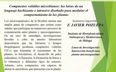 Ciclo de Seminarios IAS – Compuestos volátiles microbianos: las letras de un lenguaje hechizante e intrusivo diseñado para modular el comportamiento de las plantas