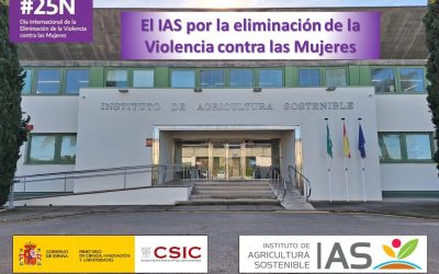 El IAS se suma al Día Internacional de la Eliminación de la Violencia contra la Mujer